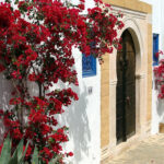 Tunesien 4 Sidi Bou Said 1080